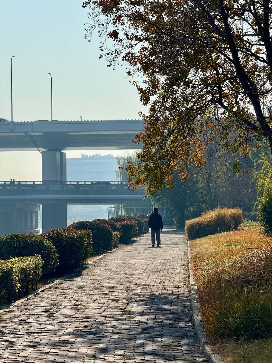 A man walking along a tree-lined riverside path in soft morning light